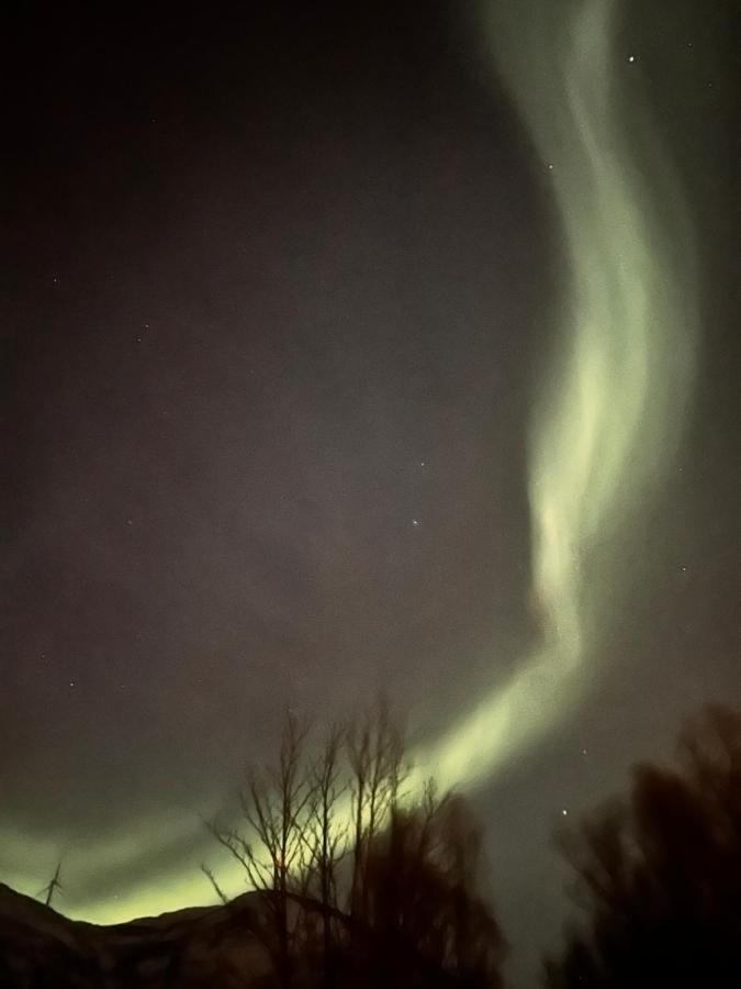 Rolig Og Avslappende * Tromsø